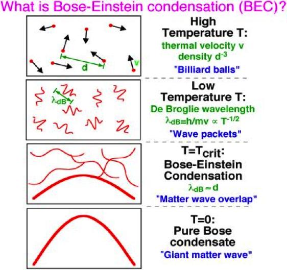 The Bose-Einstein condensation (BEC) In 1925 Einstein and Bose predicted a new state of matter for very dilute
