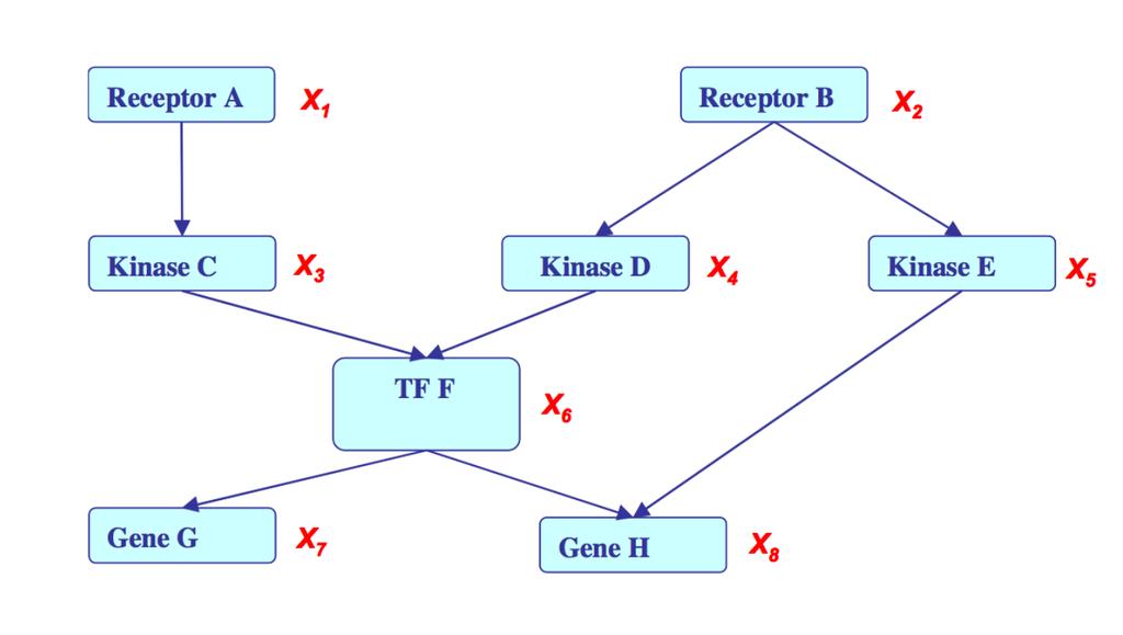 2 : Directed GMs: Bayesian Networks 3 Figure 2: Example of factorization theorem. Figure 3: The left is the structure of common parent, and encode A C B.