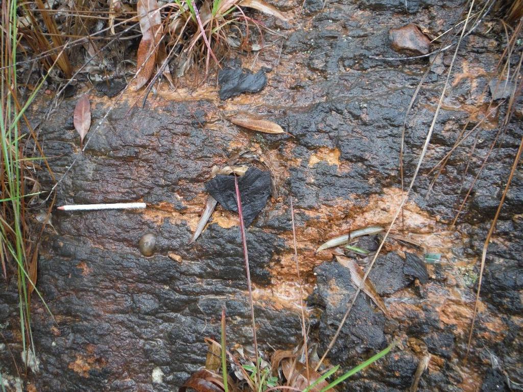 Figure A2.13 - Photo of the diamictite outcrop with clayish matrix (Df).