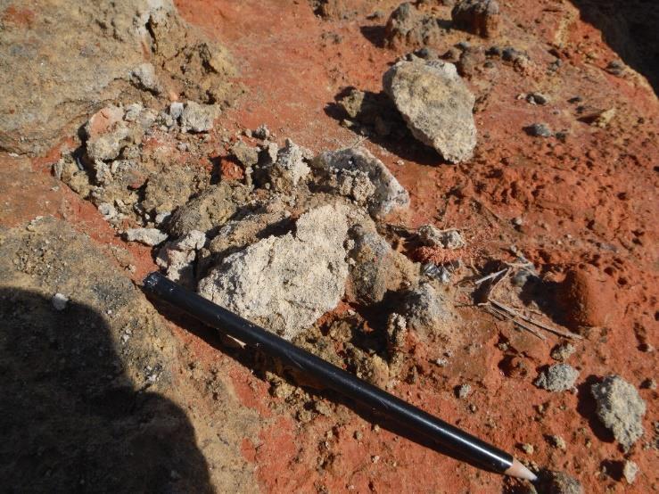 Figure A2.15 - Photo of a sandstone sample on the altered outcrop (Smm).
