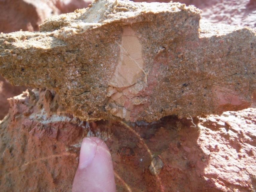 Immature, highly altered rock, with a silty-clayish matrix and coarse grains.