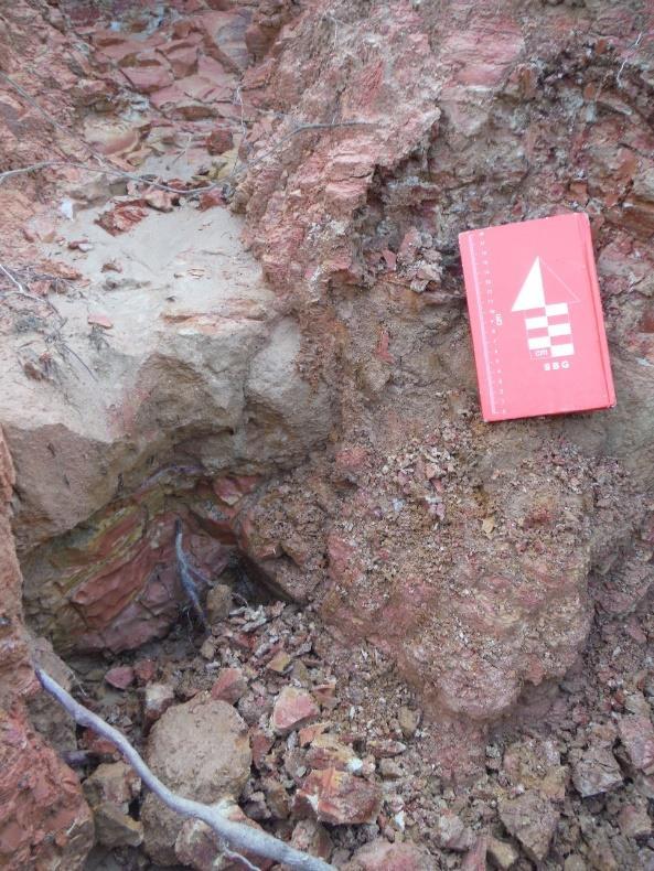 Figure A2.17 Interbedding of claystone (Fm) and massive sandstone with matrix (Smm). SITE 10 23K 252157 7413664 638 1m Córrego Alegre Outcrop on a ravine along a dirt road.