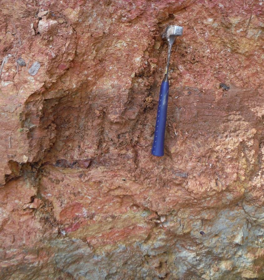 Figure A2.32 Outcrop of clayish shale (Fl). SITE 22 23K 255815 7412108 576 1m Córrego Alegre Outcrop located along Presidente Castelo Branco Highway, at Km 84.