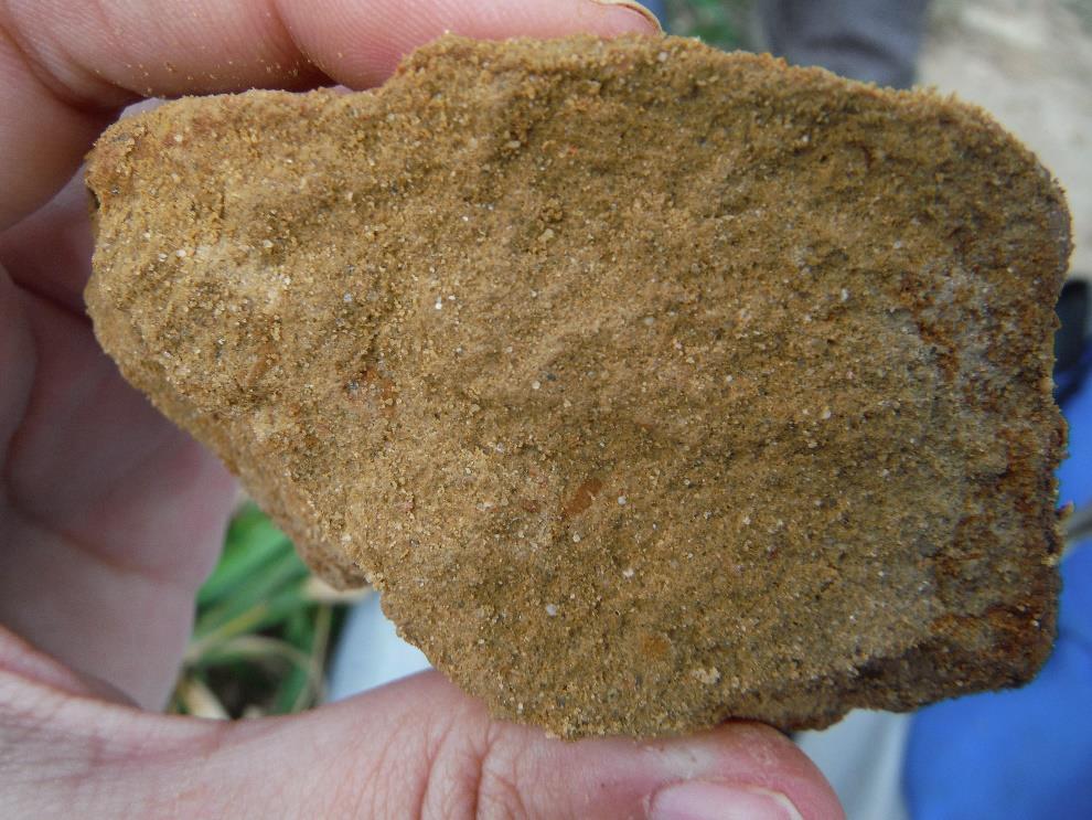 Figure A2.35 Hand sample of fine, massive, immature sandstone, with matrix (Smm).
