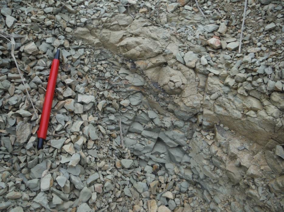 Figure A2.36 - Photo of the outcrop with layers of sandstone (Smm) and clayish siltstone (Fl).