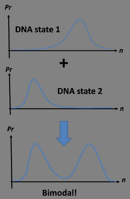 Rate formulae Gene-state switching is extremely slow Gene-state switching is relatively slow