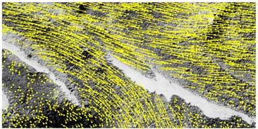Horizontal displacement vectors derived from large-scale aerial photographs 1993