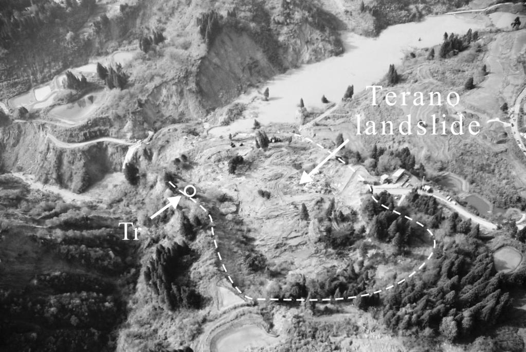 404 Fig. 1. A view of the Terano landslide. Tr: sampling point for soil Tr. illite. The Atterberg limits of I15 were as follows: plastic limit 19.7, and liquid limit 23
