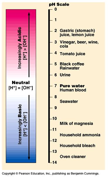 There are different ph levels throughout cells and the body. Some molecules will be destroyed if the ph is not right B.1.5.