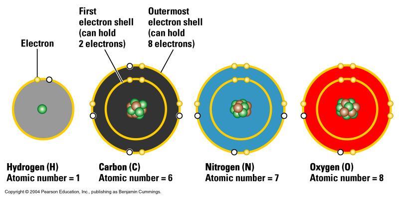 Electron Vacancies: Another View Important Bonds in Biological Molecules: 1. Ionic Bonds 2. Covalent Bonds 3.