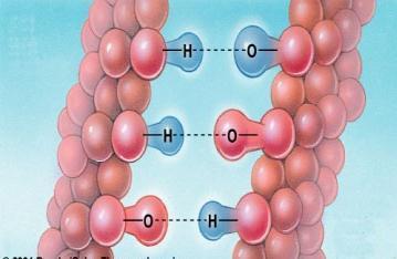 Water - Electrons more attracted to O nucleus