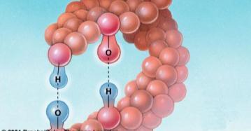 Hydrogen Bonding Molecule held together by