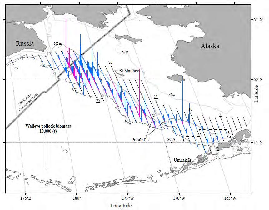 2004/2005 year classes 2007 estimated biomass from Echo-integration trawl survey Age