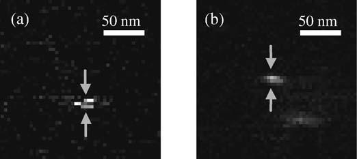8 T. Saiki Fig. 1.6. The highest resolution images obtained with Rhodamine at 532-nm excitation (a)and Cy5.5 at 633-nm excitation (b). Estimated resolutions are 11 and 8 nm, respectively Figure 1.