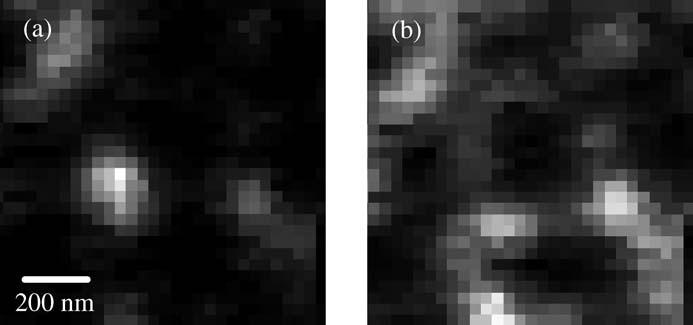 14 T. Saiki Fig. 1.12. Near-field PL images of single GaSb QDs monitored at photon energies of a 1.266 and b 1.259 ev, respectively Figures 1.12(a) and 1.