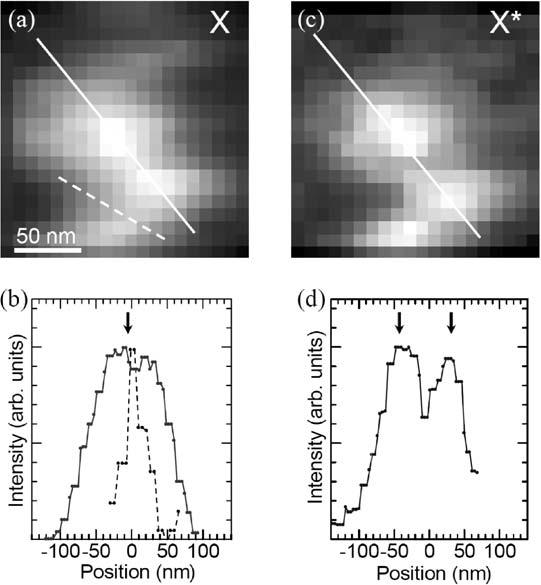 26 T. Saiki Fig. 1.22. a, b Normalized cross-sectional intensity profiles of exciton (thick lines) and biexciton (thin lines) PL images corresponding to Figs. 1.20(a) and (b).