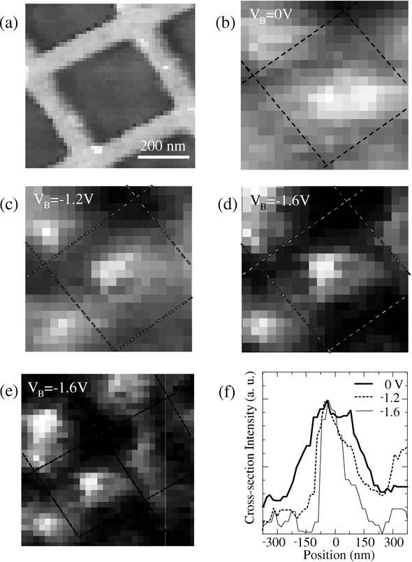 1 Optical Interaction of Light with Semiconductor Quantum Confined States 29 Fig. 1.25. a Shear-force microscopy (topographic) image of the gated sample surface (height contrast: 50 nm).