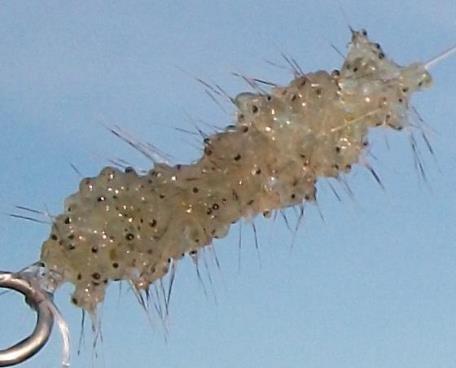 fleas on fishing line