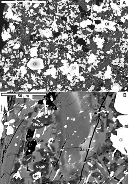 4. Petrography and mineral chemistry of host basanite Figure 2. Back-scattered electron image (BEI) of host basanite from Dzhilinda River.