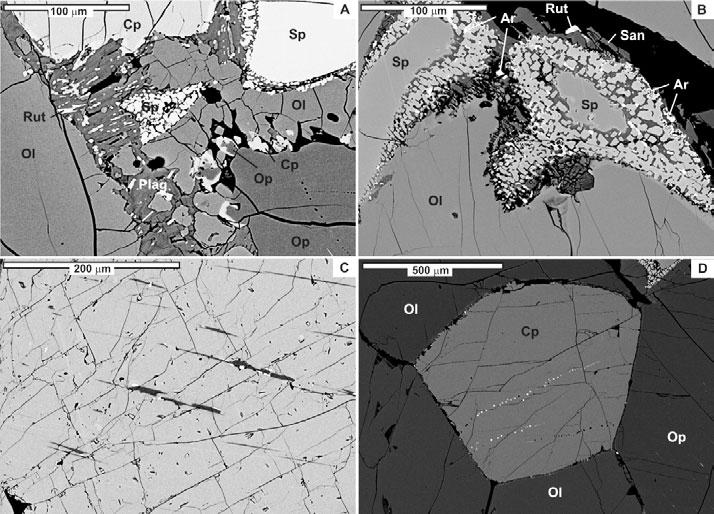 C, Sample DY-8A, orthopyroxene (grey) and rutile (white) lamellae in clinopyroxene. D, Sample DJ-1, sulfide chain in clinopyroxene grain. San, sanidine; Rut, rutile; Ar, armalcolite. See Fig.