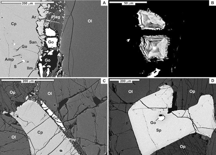 Figure 5. BEI of interstitial goethite in Ti-rich xenoliths from Dzhilinda River. A-B, Sample DJ-1, large goethite grains in interstitial melt pocket and its texture (B).