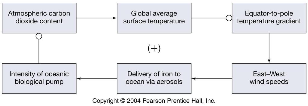 Iron Fertilization Hypothesis
