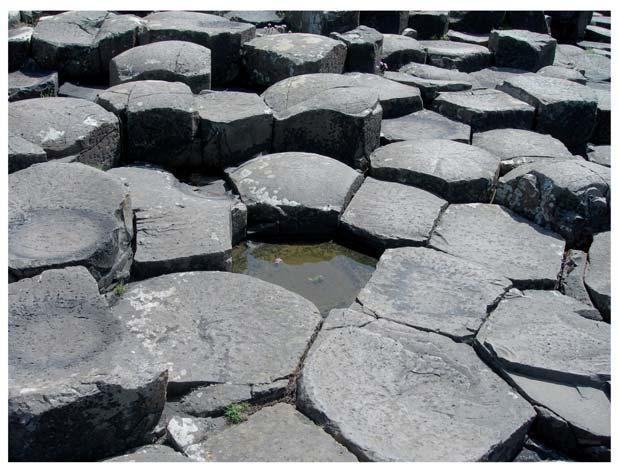 (b) Study Fig. 9 which shows the Giant s Causeway, an area with basalt columns. Answer the questions which follow. Source: Principal examiner Fig.