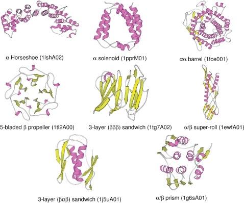 Globular proteins Cytoplasmic (soluble) proteins 75% is packed 25% is cavities (filled with water or empty) Unique tertiary structures (folds/motifs) Different combinations of β- sheets and α-helices