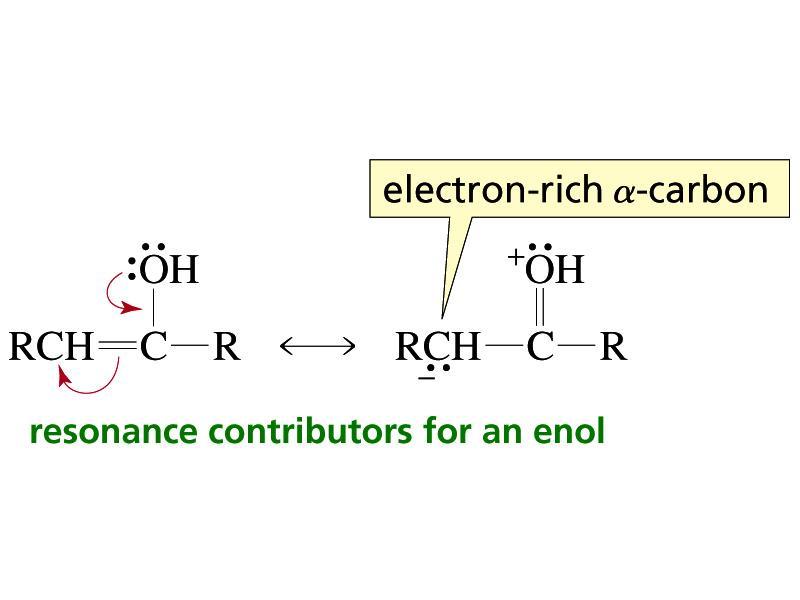 An Enol Is a Better Nucleophile Than an Alkene Carbonyl compounds that form