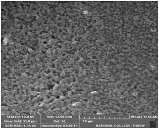 UV-VIS spectral analysis of silver nanoparticles Silver nanoparticles were synthesized using plant extract of S.