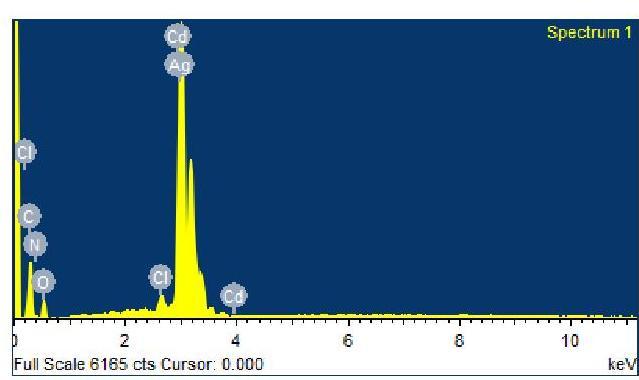 Bacillus Proteus vulgaris Figure 5: EDS spectrum of synthesized silver nanoparticles XRD Analysis XRD analysis showed distinct diffraction peaks which can be indexed the angle vales of (111), (200),