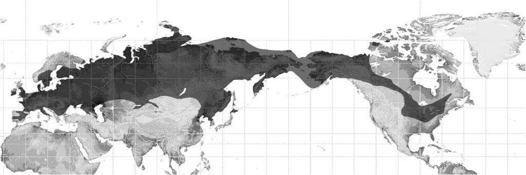 Sketch of global maximum distribution of the woolly mammoth (Mammuthus