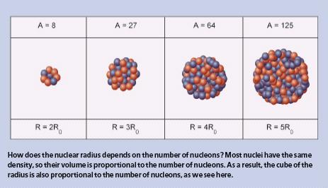 1. Nuclear Size We have known since Rutherford s!