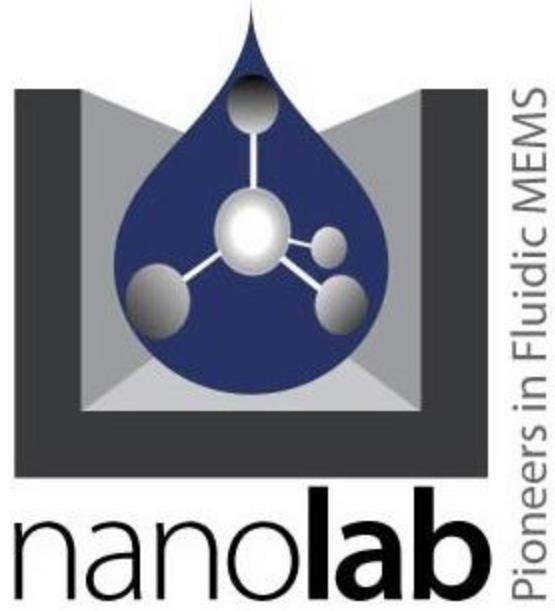 Nanofluidic