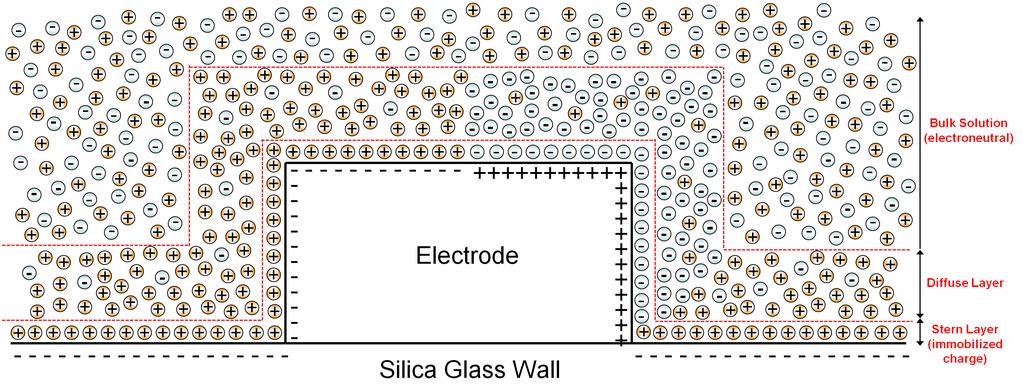 Electric Double Layers Form at Channel Walls & Electrode + - Wall counter-ions: H +, Na + Wall co-ions: H 2 PO 4 -, HPO 4 2-, OH - - Electrode surface charge