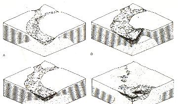Because pingo remnants are formed under permafrost conditions, they could only be formed in Drenthe during the two ice ages Saalien and Weichselien (de Gans 1981).