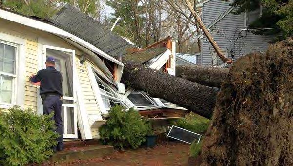 MUNICIPAL MEETINGS: COMMON THEMES Hazards Trees Too many along roadways, can block roads and take out power, can block neighborhoods and make travel to schools difficult Flooding Many places
