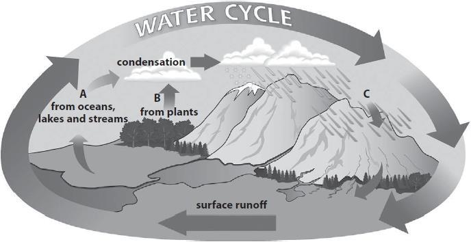 (e) The diagram shows the water cycle.