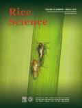 Available online at www.sciencedirect.