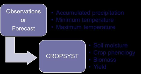 CropSyst predictions Weather scenarios Forecasted influence of the assumed weather conditions on development and yield of corn in the rest of the
