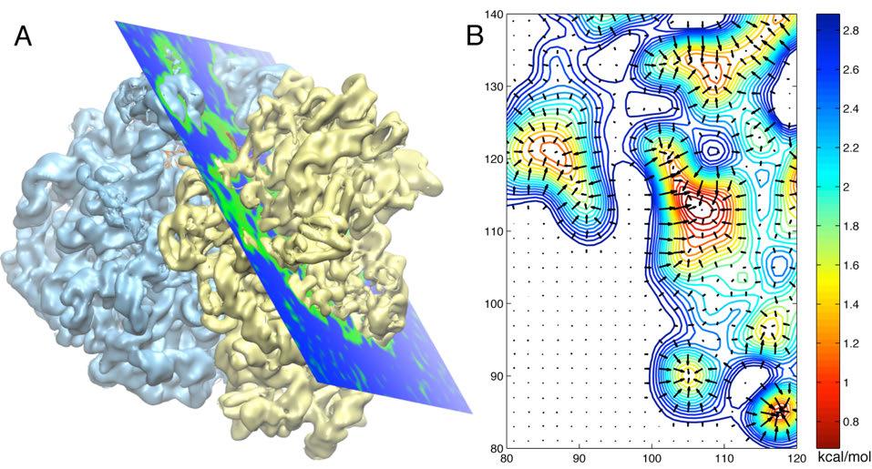 Molecular Dynamics Flexible Fitting - Theory Two terms are added to the MD