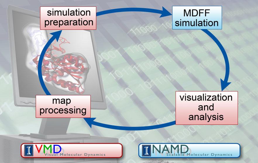 MDFF Software Suite NAMD and VMD used together to run MDFF Every NAMD and VMD feature is available in MDFF Fitting time is dependent on: system size map and structure quality Generally need ~ 1ns or