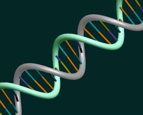 26 The problem Gene A, Gene B Trait http://www.
