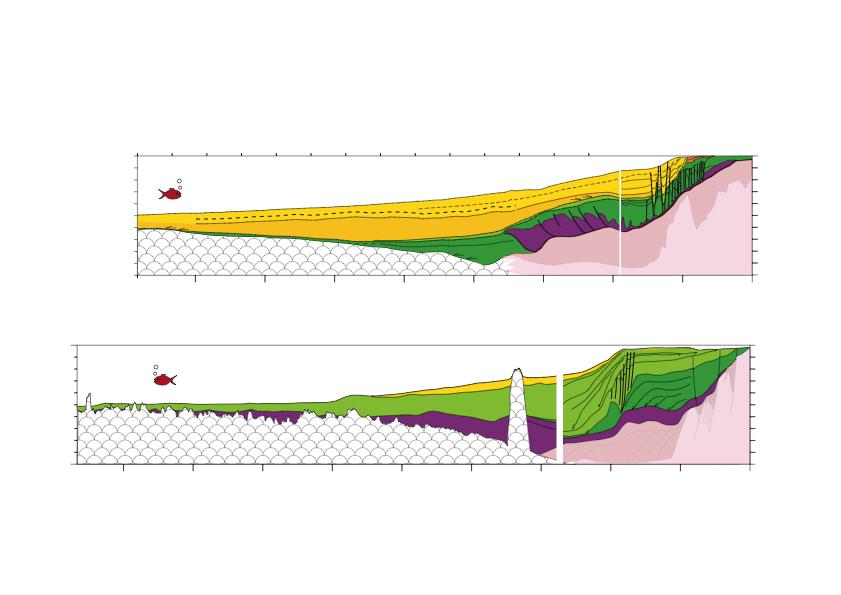 Long-term evolution of W. Africa deep-sea fans 0km 5km 10km Congo-Angola: Cenozoic deep-sea-fan synrift Cont.
