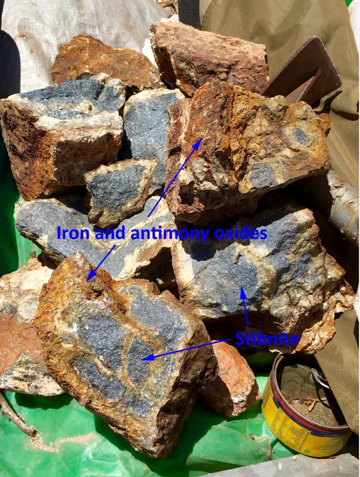 (Figure 2: Pieces of partially weather gold-stibnite vein material. The tuna can in the lower right is 8 cm across.