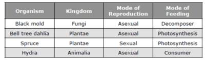 8. Describe the advantages of sexual reproduction? 9. What is the different between asexual and sexual reproduction? 10.