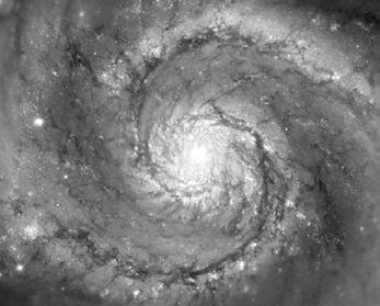 Outlining starbirth in M51 visible infrared Spitzer Q: Why does M51 Whirlpool have open spiral structure,