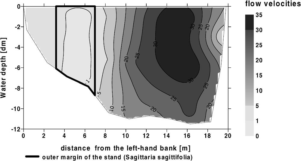 M. Schulz et al. / Water Research 37 (2003) 569 578 573 Fig. 4. Flow velocities (cm s 1 ) in a cross-section of the M.uggelspree, 500 m downstream of Freienbrink. Fig. 5. Longitudinal section upstream of and within a macrophyte stand, showing trapping rates measured with cylindrical and plate traps and flow velocity.