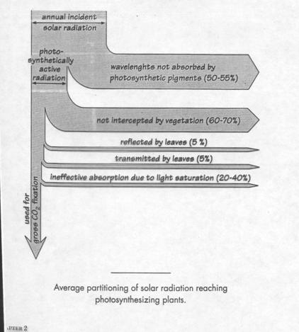 3. Transformations of the Sun s Radiant Energy by Earth Hey, what s missing here?