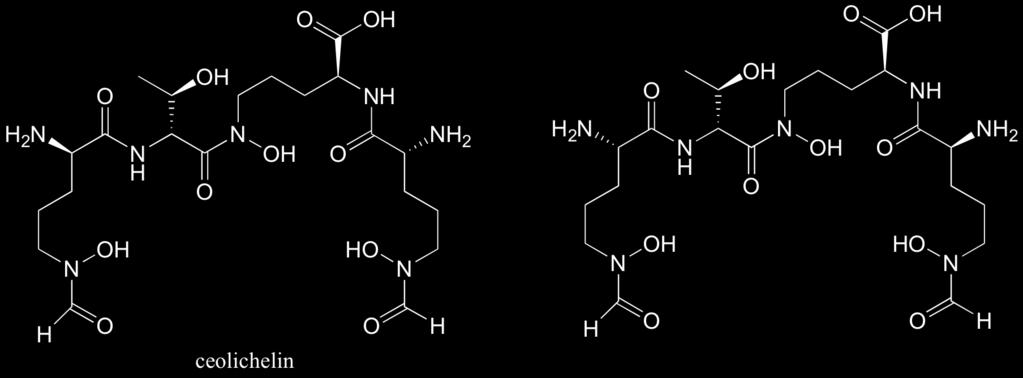 8: Draw the structure of the following molecules: a) (R)-3-methyl-3-hexanol b) (R)-1-chloro-1-phenylethane c) (2R, 3R)-2,3-dihydroxybutanedioic acid (tartaric acid) d)